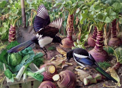 Les pies dans le jardin potager (planche) - Raymond Booth