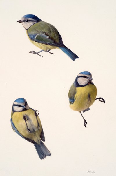 Trois études d