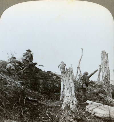 Assaut dans le bois de Trônes, Somme, France, Première Guerre mondiale, 1916 - Realistic Travels Publishers