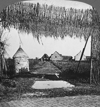 Camouflage ingénieux, Première Guerre mondiale, vers 1914-1918 - Realistic Travels Publishers