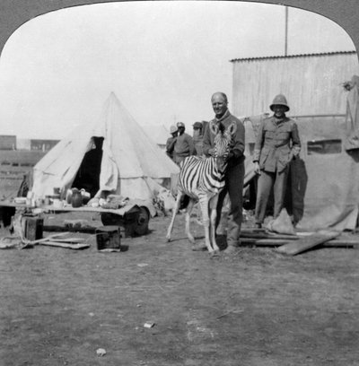 Artilleurs sud-africains avec leur zèbre de compagnie, Afrique de l