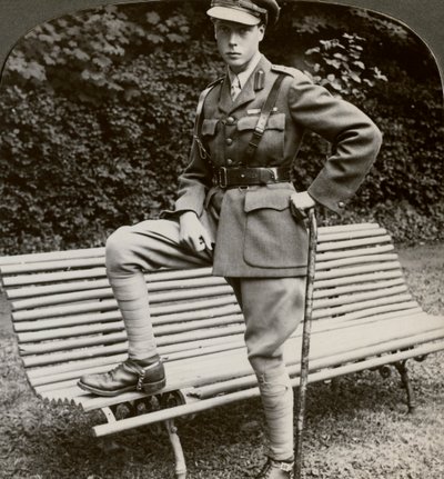 Le Prince de Galles en uniforme militaire, France, Première Guerre mondiale, 1914-1918 - Realistic Travels Publishers