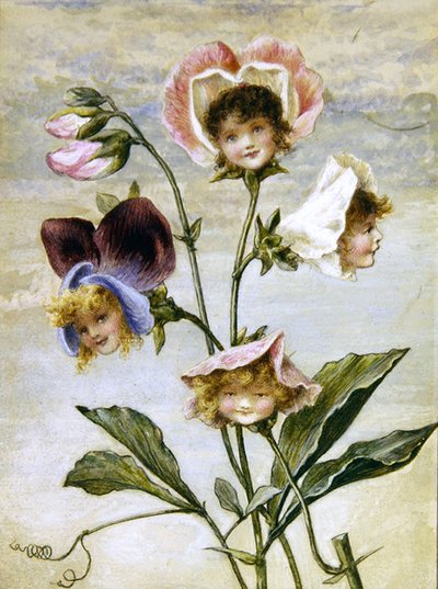 Géranium et Pois de Senteur - Enfants Fleurs - une paire - Rebecca Coleman