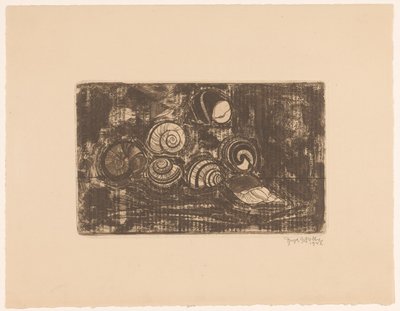 Sept coquillages - Reijer Stolk (signed by artist)