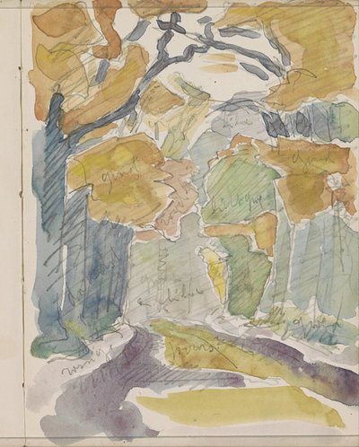 Sentier forestier en automne - Reijer Stolk