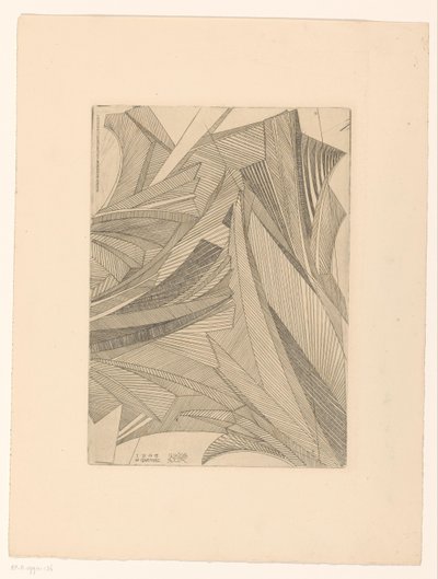 Motifs géométriques de fleurs de glace - Reijer Stolk