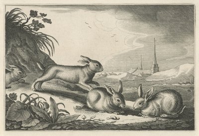 Paysage de dunes avec des lapins - Reinier van Persijn
