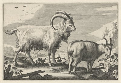 Paysage vallonné avec deux chèvres (Diversa Animalia Quadrupedia) - Reinier van Persijn