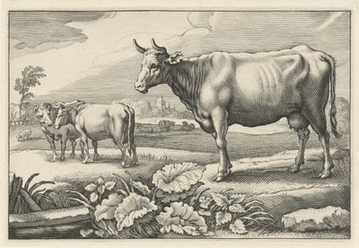 Prairie avec des vaches (Diversa Animalia Quadrupedia) - Reinier van Persijn