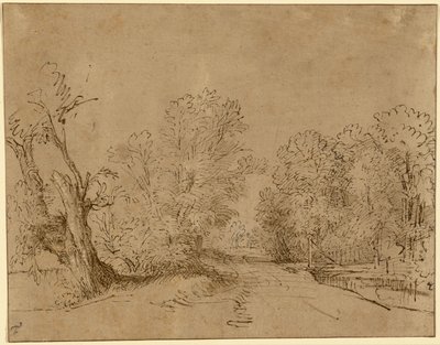 Une route boisée - Rembrandt Harmensz. van Rijn