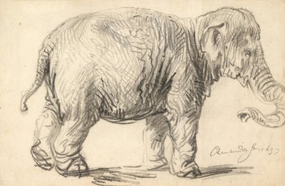 Un éléphant - Rembrandt van Rijn