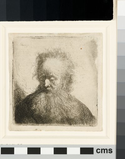 Vieil homme à la barbe flottante : buste - Rembrandt van Rijn