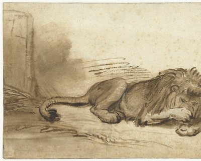 Lion couché avec sa patte avant sur son museau - Rembrandt van Rijn (school of)