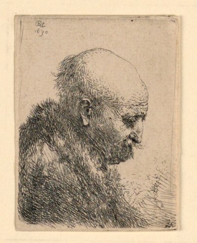 Homme chauve de profil droit : petit buste; Le père de l