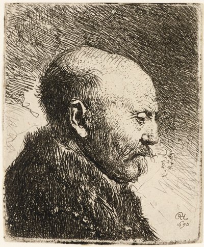Homme chauve de profil droit : le père de Rembrandt 1630 - Rembrandt van Rijn