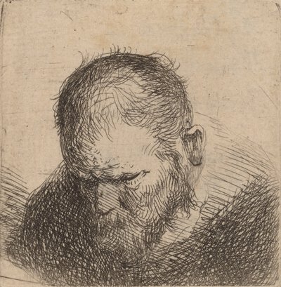 Homme barbu regardant vers le bas, peut-être 1631 - Rembrandt van Rijn