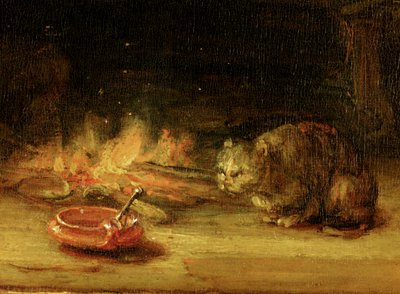 Chat (détail) - Rembrandt van Rijn