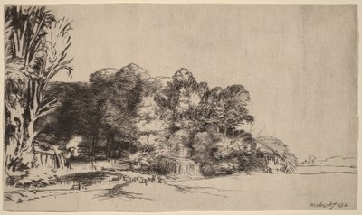 Un bosquet offrant une belle vue - Rembrandt van Rijn