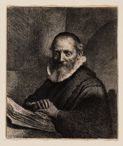 Jan Cornelius Sylvius - Rembrandt van Rijn