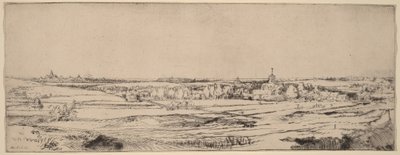 Paysage avec vue sur Haarlem (Le champ des peseurs d