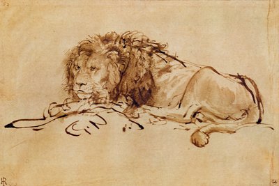 Lion se reposant - Rembrandt van Rijn