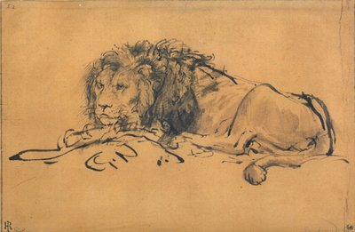 Lion reposant, tourné vers la gauche, vers 1650 - Rembrandt van Rijn