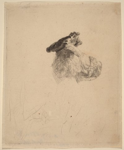  - Rembrandt van Rijn