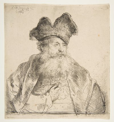 Vieil homme avec un bonnet de fourrure divisé - Rembrandt van Rijn