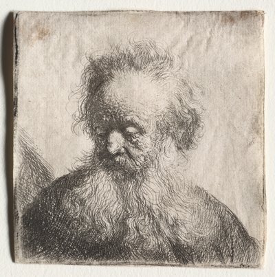 Vieil homme à la barbe flottante : Buste - Rembrandt van Rijn