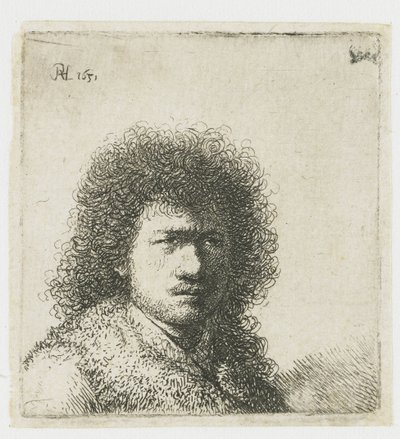 Autoportrait avec cheveux touffus : buste - Rembrandt van Rijn