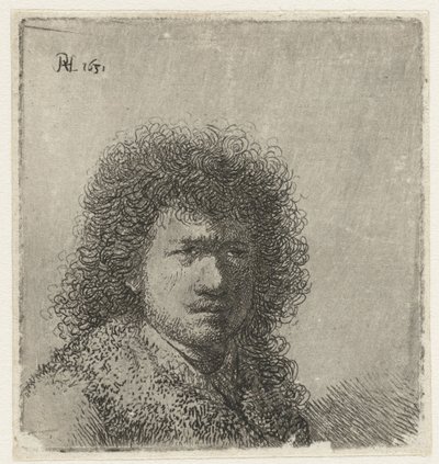 Autoportrait avec cheveux touffus : buste - Rembrandt van Rijn