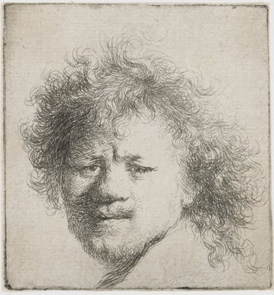 Autoportrait avec cheveux longs et touffus : tête seulement, vers 1631 - Rembrandt van Rijn