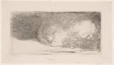  - Rembrandt van Rijn