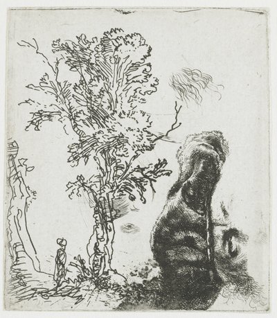 Esquisse représentant un arbre et la partie supérieure de la tête de Rembrandt coiffée d