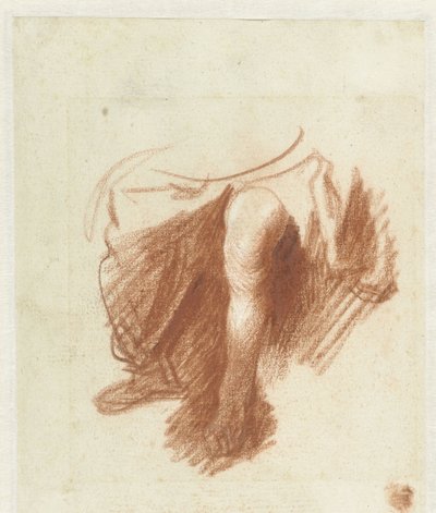 Étude des jambes d