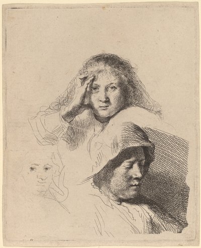 Trois têtes de femmes, une légèrement gravée - Rembrandt van Rijn