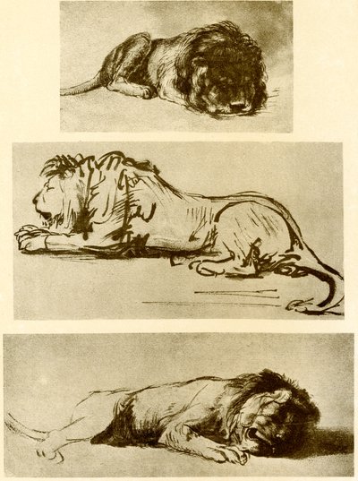 Trois études de lion - Rembrandt van Rijn