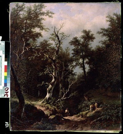 Paysage de forêt - Remigius van Haanen