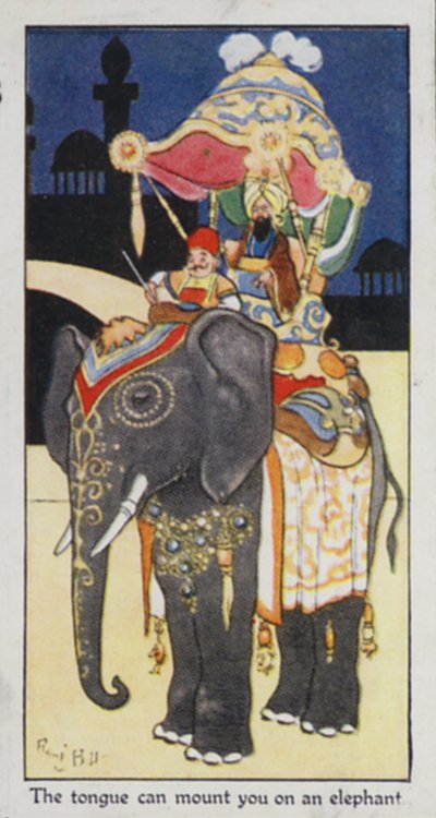 Proverbe oriental : La langue peut te monter sur un éléphant - René Bull