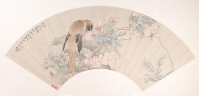 Oiseau sur un Rocher près d