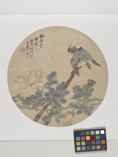 Fleur Et Oiseau - Ren Yi (1840 96)