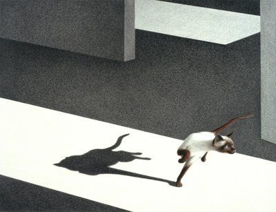 Coin - Rene Boin