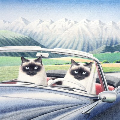 Conduire autour - Rene Boin