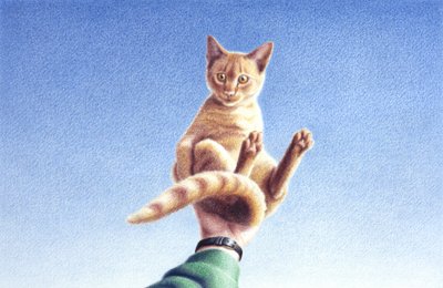Plein les mains - Rene Boin