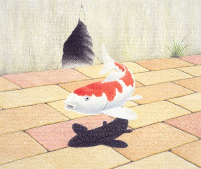 Koi - Rene Boin