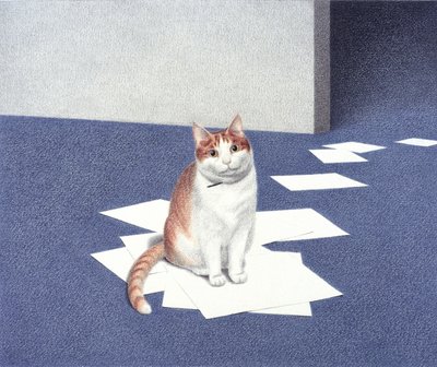 Papiers - Rene Boin