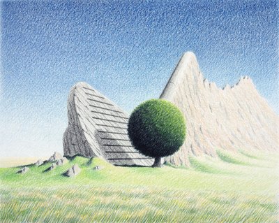 Roche - Rene Boin