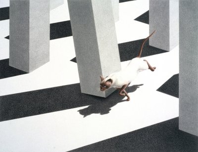 Course - Rene Boin