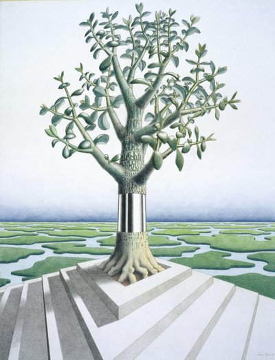 Succulent - Rene Boin