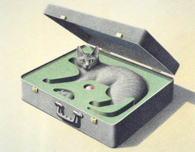 Valise 1 - Rene Boin